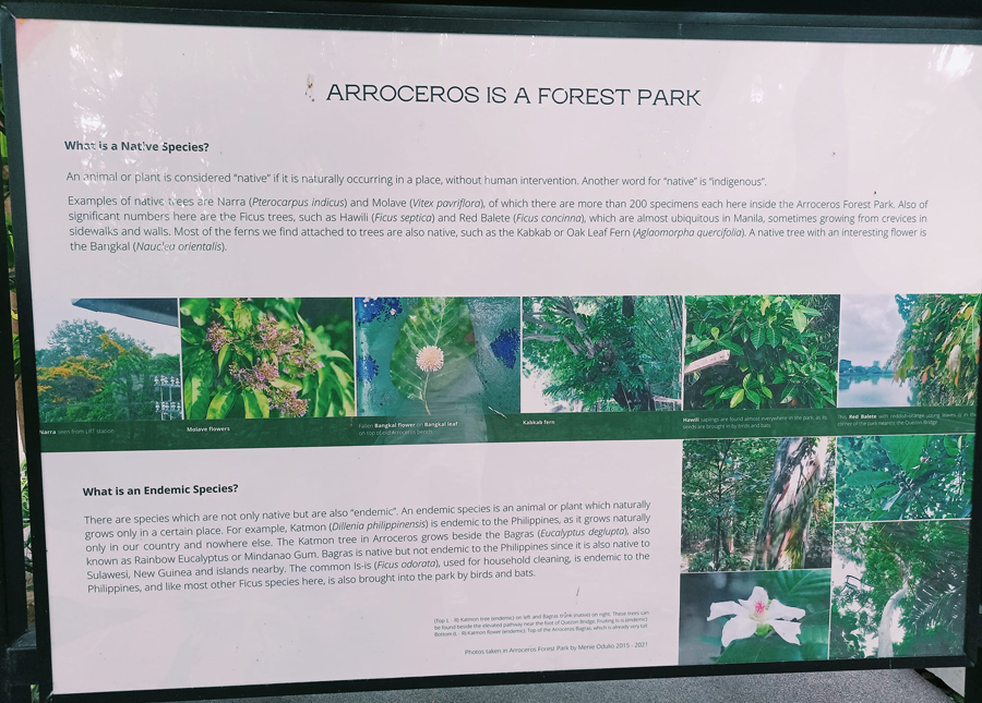 arroceros forest park 1