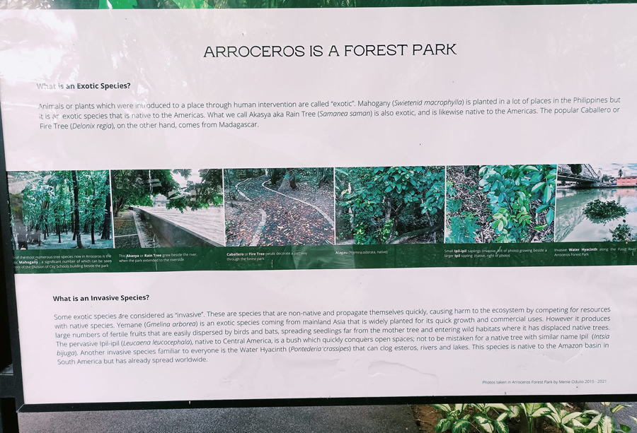 arroceros forest park 3