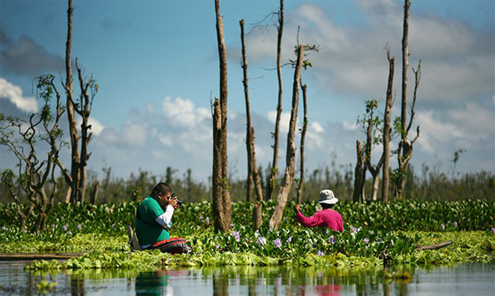 Agusan Marsh