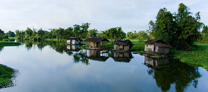 Agusan Marsh