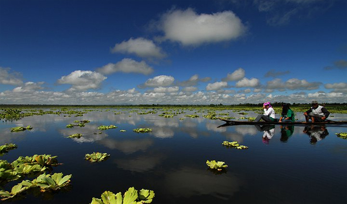 Agusan Marsh