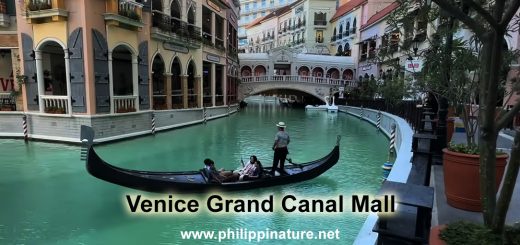 Venice Grand Canal Mall