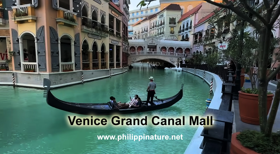 Venice Grand Canal Mall