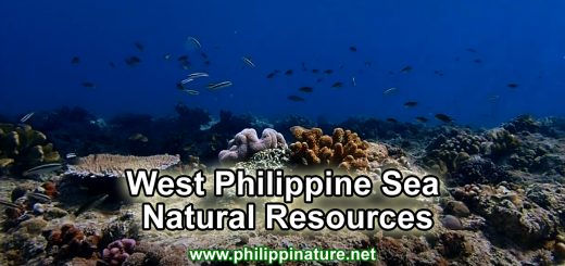 West Philippine Sea-Natural Resources