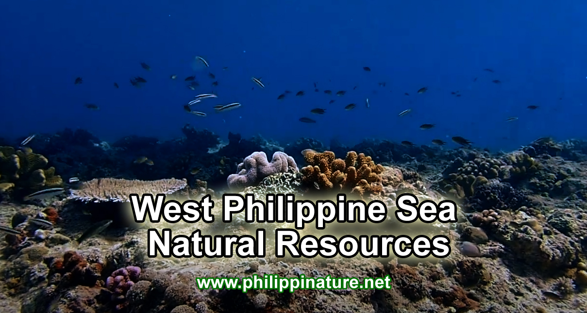 West Philippine Sea-Natural Resources