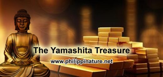 Yamashita Treasure