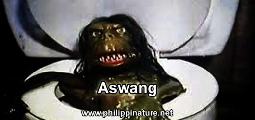 aswang