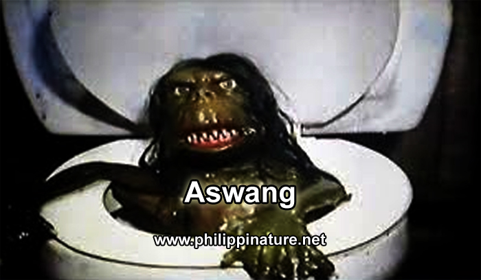 Aswang - The Mythical Creature of Philippine Folklore - Philippinature