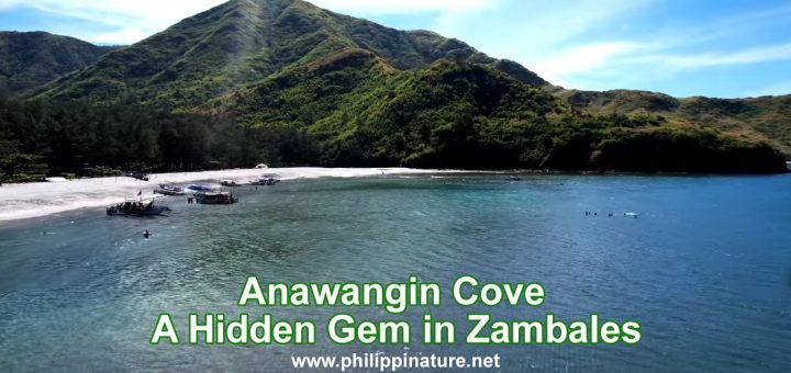 Anawangin Cove Zambales