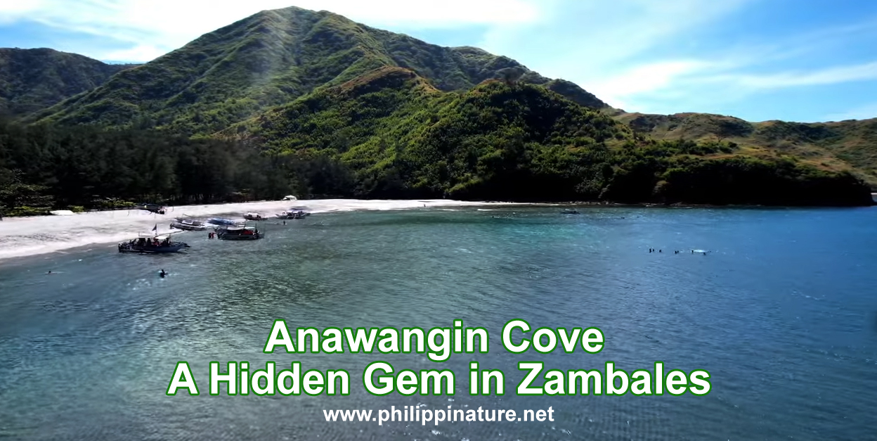 Anawangin Cove Zambales