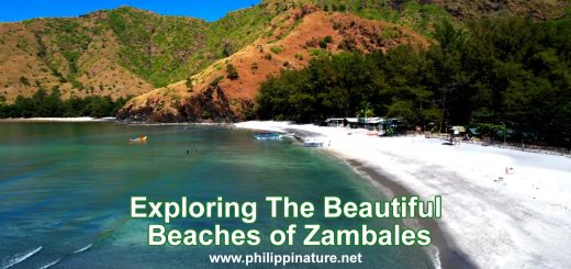 Beautiful Beaches of Zambales