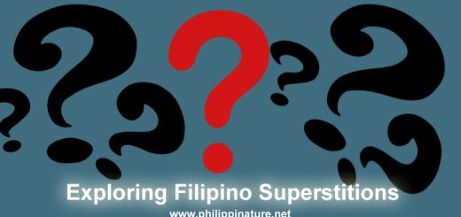 Exploring Filipino Superstitions