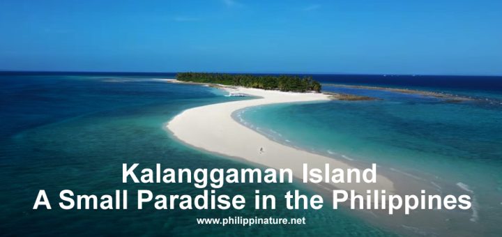 Kalanggaman Island