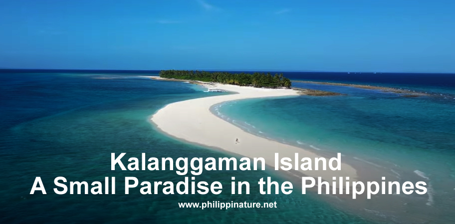 Kalanggaman Island