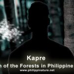 Kapre Origins