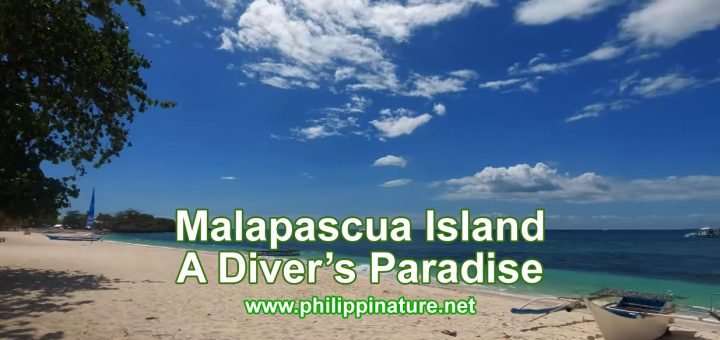 Malapascua Island