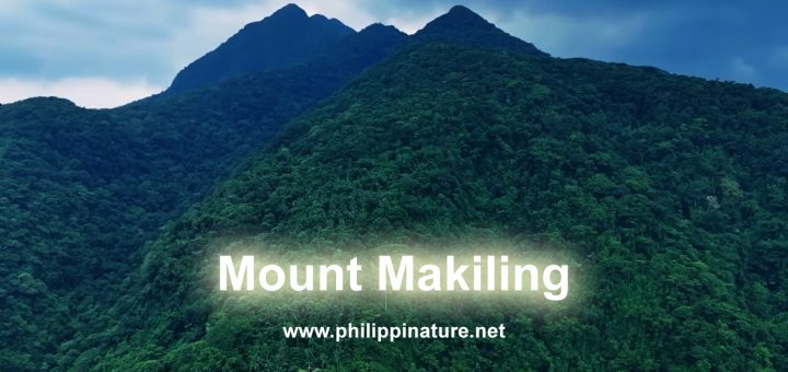 Mount Makiling