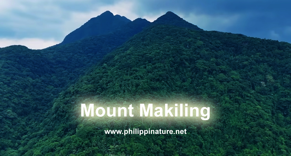 Mount Makiling