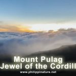 Mount Pulag