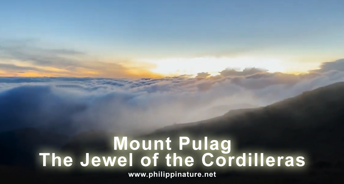 Mount Pulag