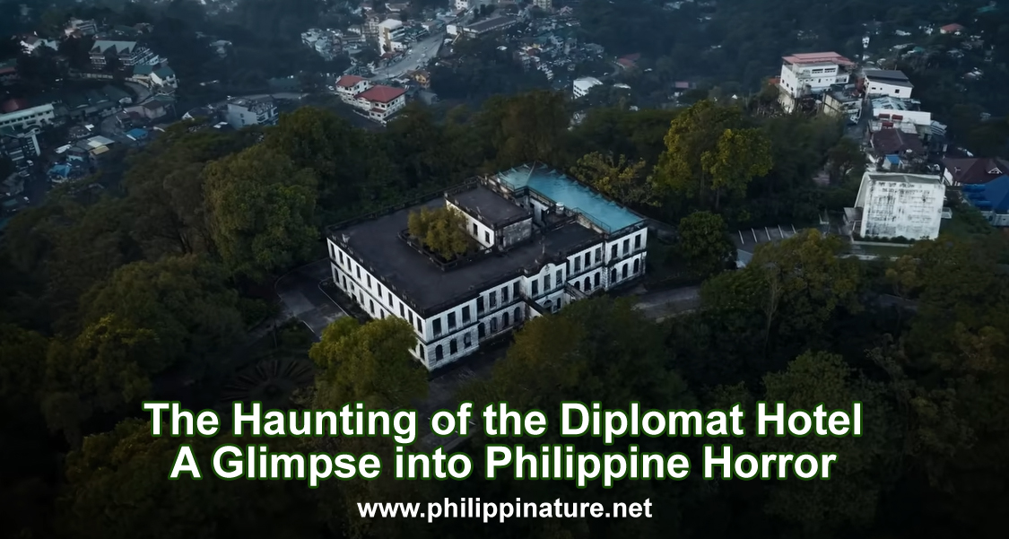 The Haunting of the Diplomat Hotel