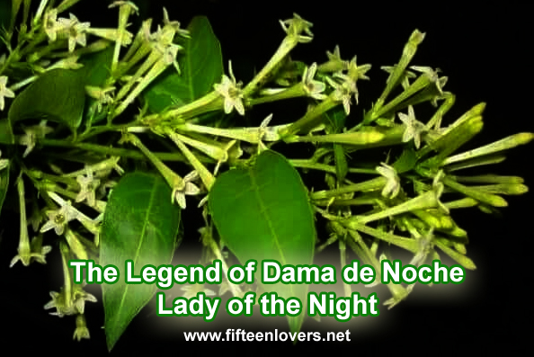 The Legend of Dama De Noche