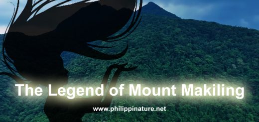 The Legend of Mount Makiling