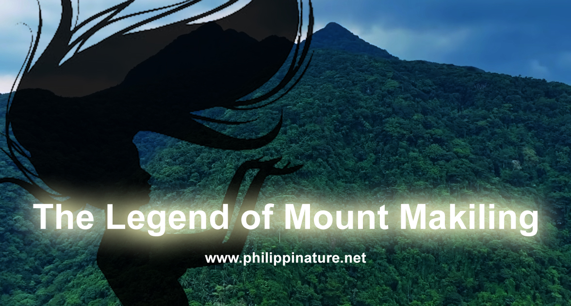 The Legend of Mount Makiling