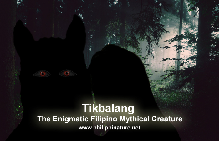 Tikbalang