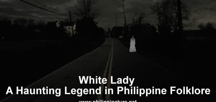 White Lady Ghost