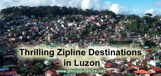 Zipline Destination in Luzon