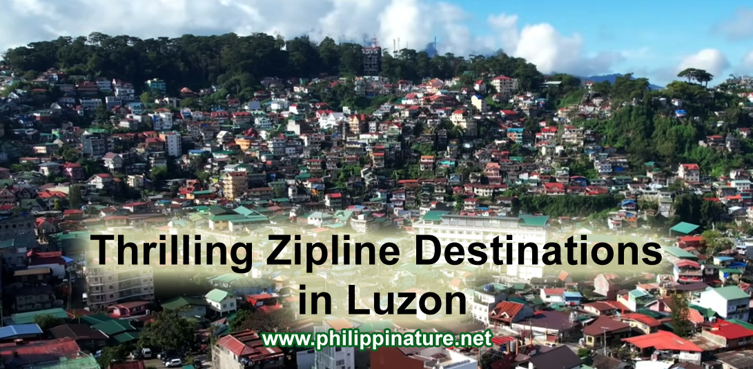 Zipline Destination in Luzon